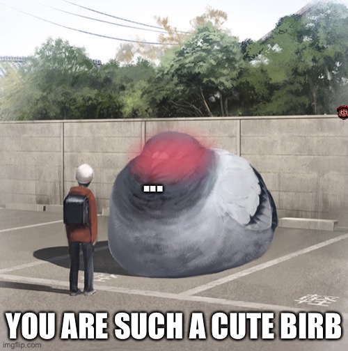 Cute birb | ... YOU ARE SUCH A CUTE BIRB | image tagged in beeg birb | made w/ Imgflip meme maker