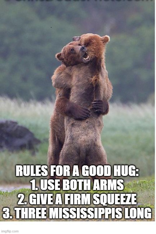 Rules For A Good Hug | RULES FOR A GOOD HUG:
1. USE BOTH ARMS
2. GIVE A FIRM SQUEEZE
3. THREE MISSISSIPPIS LONG | image tagged in hugging bears,rules,hug,hugs | made w/ Imgflip meme maker