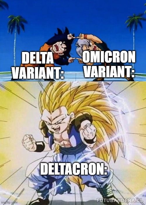 a new variant has arrived ;-; | OMICRON VARIANT:; DELTA VARIANT:; DELTACRON: | image tagged in dbz fusion | made w/ Imgflip meme maker