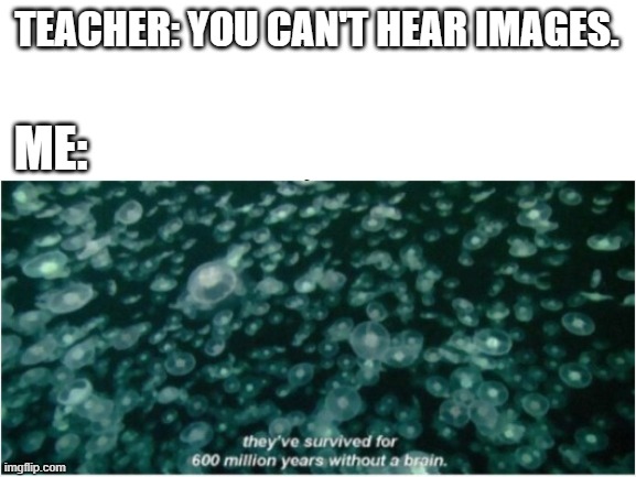 i can hear the british accent | TEACHER: YOU CAN'T HEAR IMAGES. ME: | image tagged in bbc | made w/ Imgflip meme maker