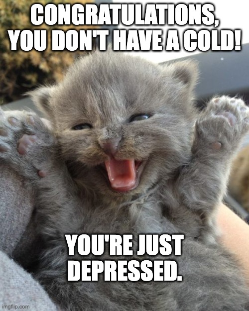 It's not a cold you're depressed | CONGRATULATIONS, YOU DON'T HAVE A COLD! YOU'RE JUST DEPRESSED. | image tagged in yay kitty,depression | made w/ Imgflip meme maker