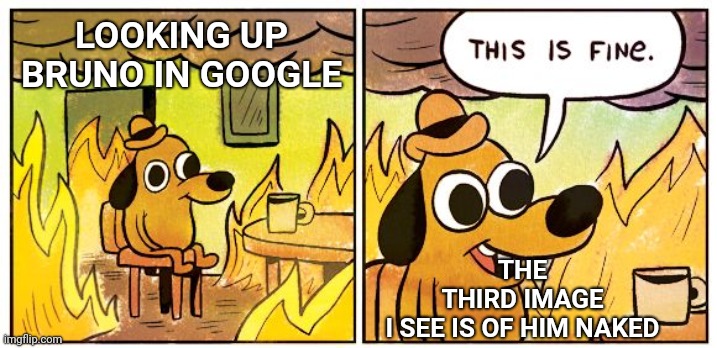 This Is Fine | THE THIRD IMAGE I SEE IS OF HIM NAKED; LOOKING UP BRUNO IN GOOGLE | image tagged in memes,this is fine | made w/ Imgflip meme maker