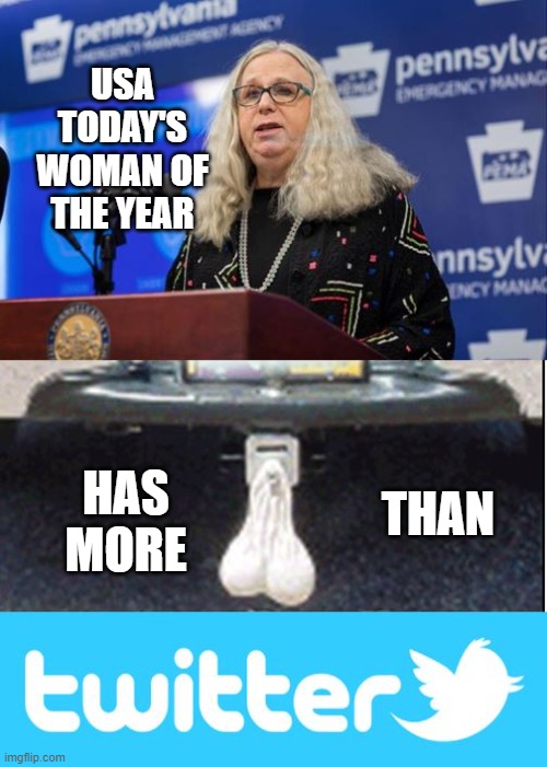 Twitter Bird Stung by Babylon Bee | USA TODAY'S WOMAN OF THE YEAR; THAN; HAS MORE | image tagged in twitter,babylon bee | made w/ Imgflip meme maker