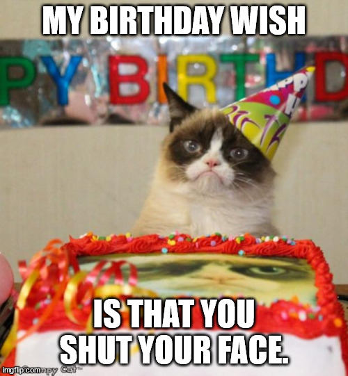 Grumpy Cat Birthday | MY BIRTHDAY WISH; IS THAT YOU SHUT YOUR FACE. | image tagged in memes,grumpy cat birthday,grumpy cat | made w/ Imgflip meme maker