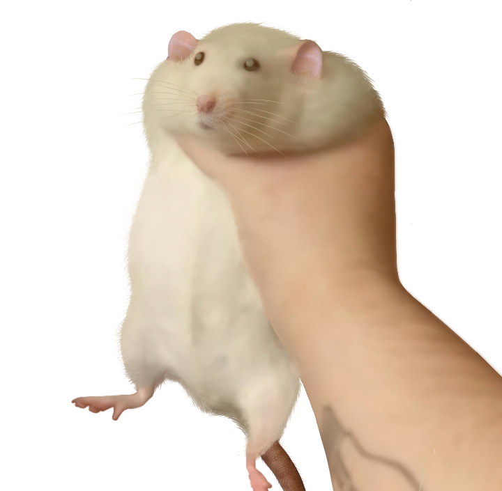 Rat Hand Blank Meme Template