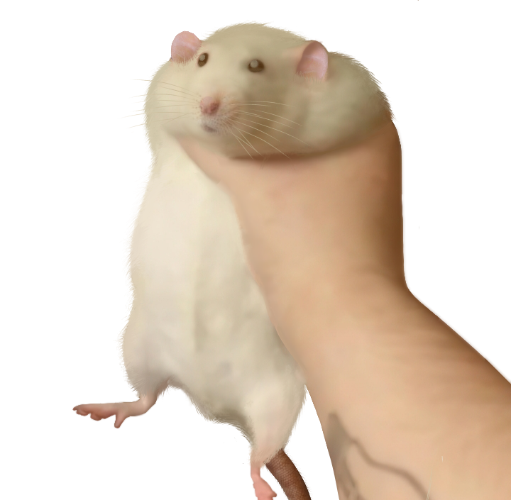 rat-hand-blank-template-imgflip