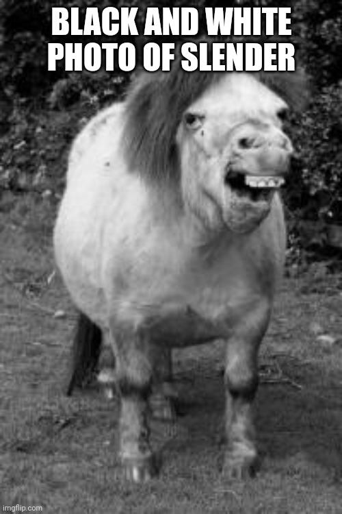 ugly horse | BLACK AND WHITE PHOTO OF SLENDER | image tagged in ugly horse | made w/ Imgflip meme maker