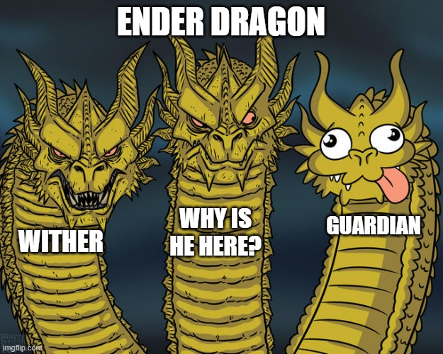 minecraft bosses | ENDER DRAGON; WHY IS HE HERE? GUARDIAN; WITHER | image tagged in three-headed dragon | made w/ Imgflip meme maker