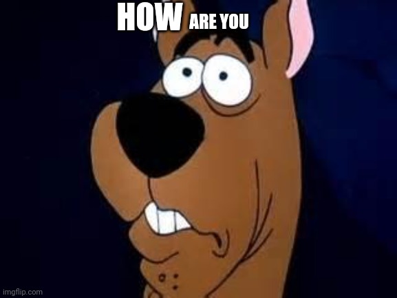 Scooby Doo Surprised | HOW ARE YOU | image tagged in scooby doo surprised | made w/ Imgflip meme maker