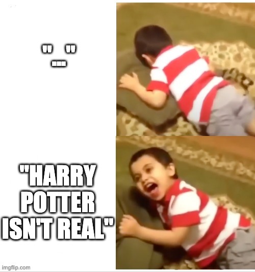 When the children read too much | "..."; "HARRY POTTER ISN'T REAL" | image tagged in kid screaming at something,memes,funny,harry potter | made w/ Imgflip meme maker