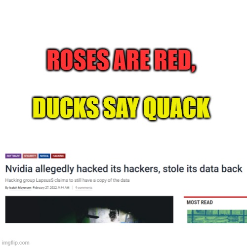 Fighting fire with fire | ROSES ARE RED, DUCKS SAY QUACK | image tagged in probably the tiniest template,oh wow are you actually reading these tags,fire | made w/ Imgflip meme maker