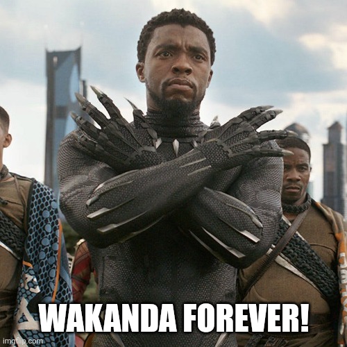 Wakanda Forever | WAKANDA FOREVER! | image tagged in wakanda forever | made w/ Imgflip meme maker