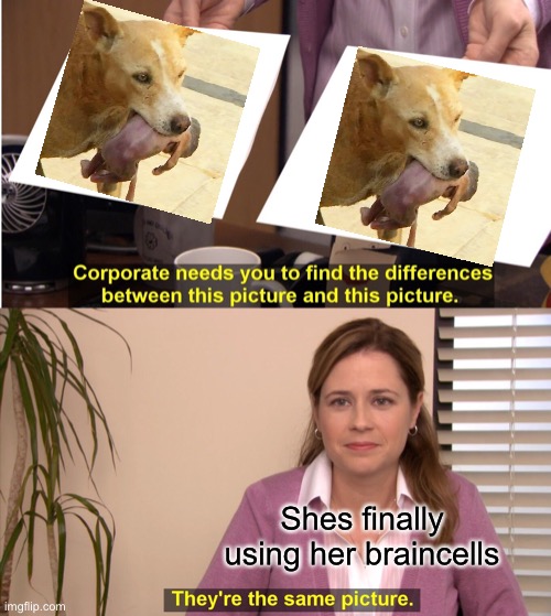 They're The Same Picture | Shes finally using her braincells | image tagged in memes,they're the same picture | made w/ Imgflip meme maker