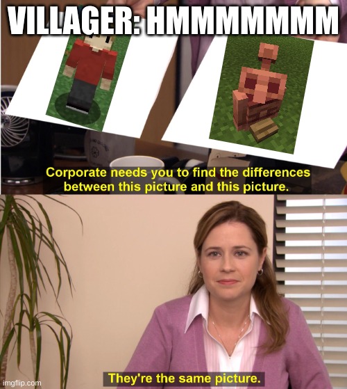 find the difference between | VILLAGER: HMMMMMMM | image tagged in find the difference between | made w/ Imgflip meme maker