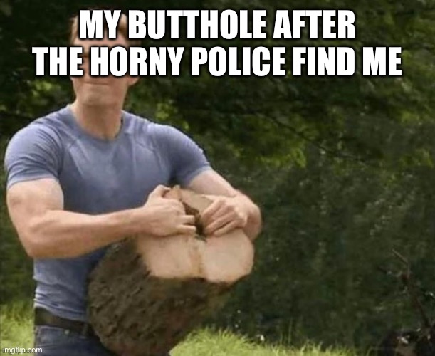 MY BUTTHOLE AFTER THE HORNY POLICE FIND ME | made w/ Imgflip meme maker