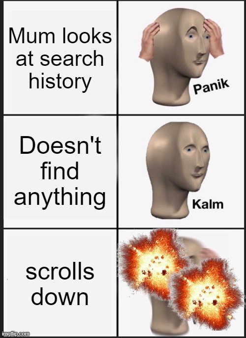 Mommy comes in... | Mum looks at search history; Doesn't find anything; scrolls down | image tagged in memes,panik kalm panik | made w/ Imgflip meme maker