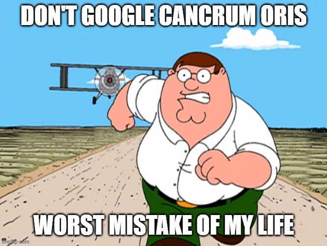 don't | DON'T GOOGLE CANCRUM ORIS; WORST MISTAKE OF MY LIFE | image tagged in peter griffin running away | made w/ Imgflip meme maker