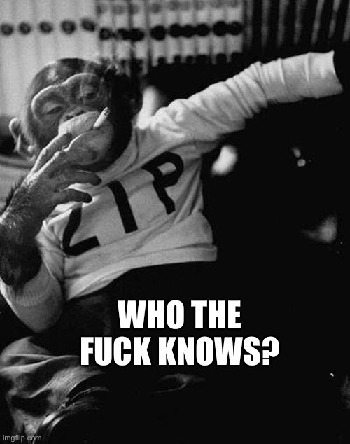 smoking monkey  | WHO THE FUCK KNOWS? | image tagged in smoking monkey | made w/ Imgflip meme maker