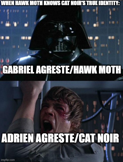 Hawk Moth knowing that his son is Cat Noir but recreated by Me |  WHEN HAWK MOTH KNOWS CAT NOIR'S TRUE IDENTITY:; GABRIEL AGRESTE/HAWK MOTH; ADRIEN AGRESTE/CAT NOIR | image tagged in i am your father,miraculous ladybug,cat noir,hawk moth,memes,funny memes | made w/ Imgflip meme maker