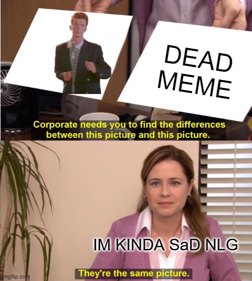 They're The Same Picture | DEAD MEME; IM KINDA SaD NLG | image tagged in memes,they're the same picture | made w/ Imgflip meme maker