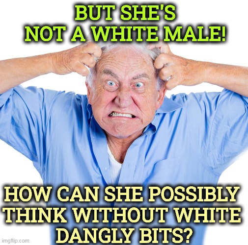 Mature black women with brains scare the stuffing out of Republicans. | BUT SHE'S NOT A WHITE MALE! HOW CAN SHE POSSIBLY 
THINK WITHOUT WHITE 
DANGLY BITS? | image tagged in supreme court,black,female,justice,think about it | made w/ Imgflip meme maker