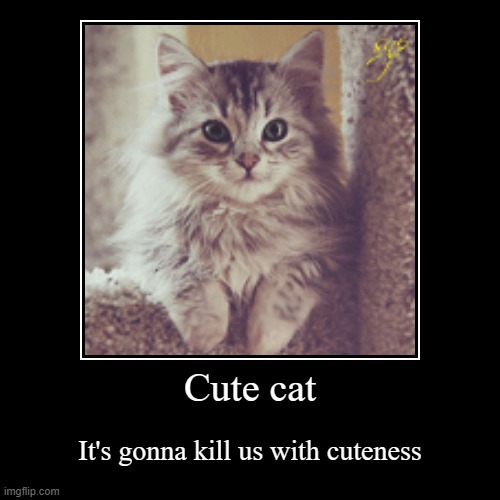 Oh No, Cute Cat Attack! | image tagged in funny,demotivationals | made w/ Imgflip demotivational maker