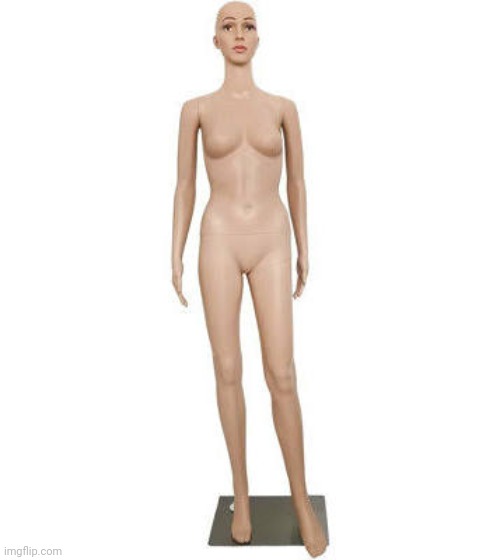 Mannequin female | image tagged in mannequin female | made w/ Imgflip meme maker