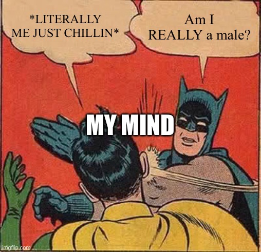 Batman Slapping Robin | *LITERALLY ME JUST CHILLIN*; Am I REALLY a male? MY MIND | image tagged in memes,batman slapping robin | made w/ Imgflip meme maker