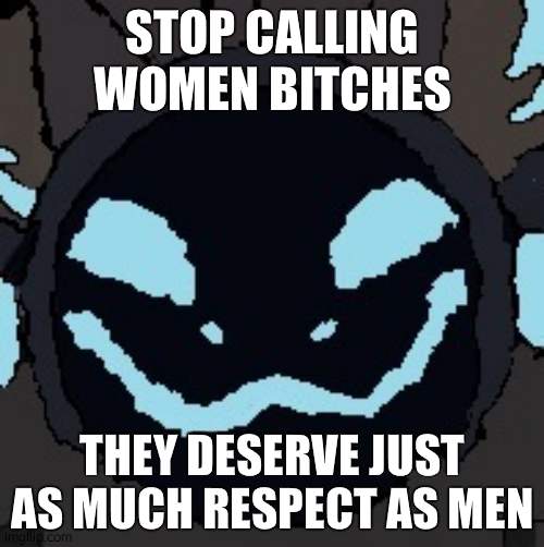 protogen |  STOP CALLING WOMEN BITCHES; THEY DESERVE JUST AS MUCH RESPECT AS MEN | image tagged in protogen | made w/ Imgflip meme maker