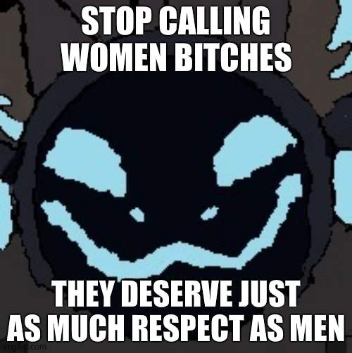 protogen | STOP CALLING WOMEN BITCHES; THEY DESERVE JUST AS MUCH RESPECT AS MEN | image tagged in protogen | made w/ Imgflip meme maker