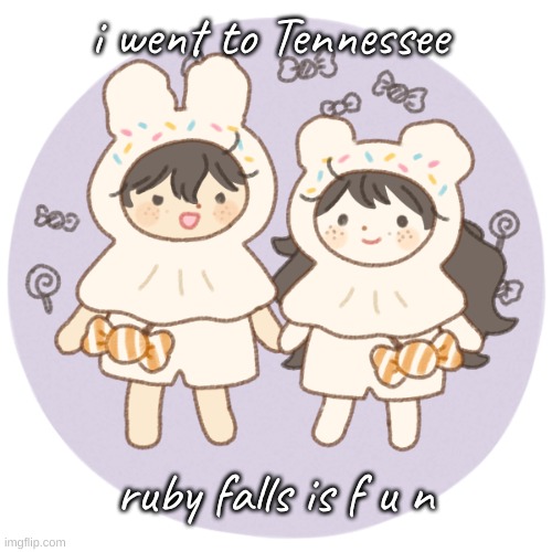 i got magnets that are rocks | i went to Tennessee; ruby falls is f u n | image tagged in bread and wonderboo 3 | made w/ Imgflip meme maker
