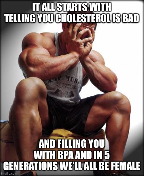 Depressed Bodybuilder | IT ALL STARTS WITH TELLING YOU CHOLESTEROL IS BAD AND FILLING YOU WITH BPA AND IN 5 GENERATIONS WE’LL ALL BE FEMALE | image tagged in depressed bodybuilder | made w/ Imgflip meme maker