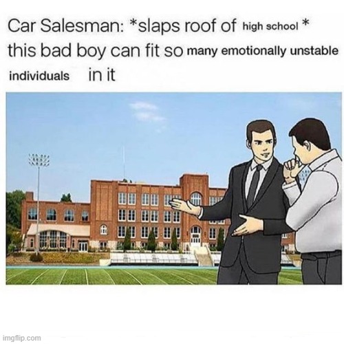 stelth: 100000000000000 | image tagged in car salesman slaps roof of car | made w/ Imgflip meme maker