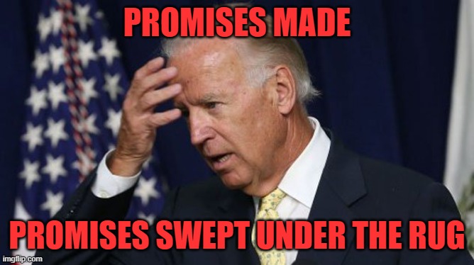 Joe Biden worries | PROMISES MADE PROMISES SWEPT UNDER THE RUG | image tagged in joe biden worries | made w/ Imgflip meme maker