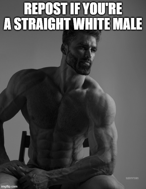 Giga Chad | REPOST IF YOU'RE A STRAIGHT WHITE MALE | image tagged in giga chad | made w/ Imgflip meme maker