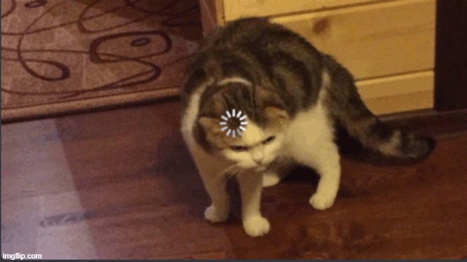 Error cat | image tagged in error cat | made w/ Imgflip meme maker