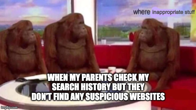 Checkmate, Mother | inappropriate stuff; WHEN MY PARENTS CHECK MY SEARCH HISTORY BUT THEY DON'T FIND ANY SUSPICIOUS WEBSITES | image tagged in where banana blank,memes | made w/ Imgflip meme maker