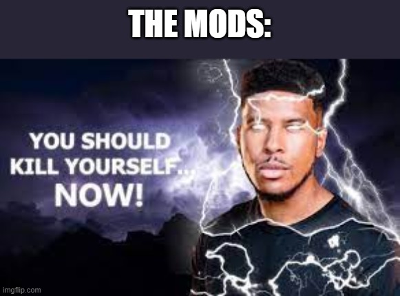 You Should Kill Yourself NOW! | THE MODS: | image tagged in you should kill yourself now | made w/ Imgflip meme maker