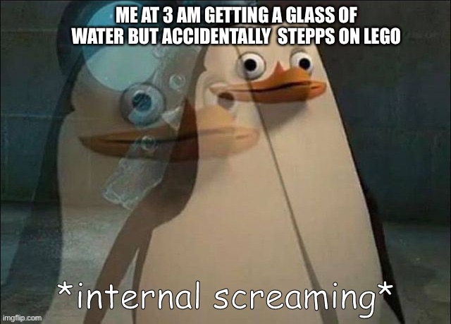 Private Internal Screaming | ME AT 3 AM GETTING A GLASS OF WATER BUT ACCIDENTALLY  STEPPS ON LEGO | image tagged in private internal screaming | made w/ Imgflip meme maker