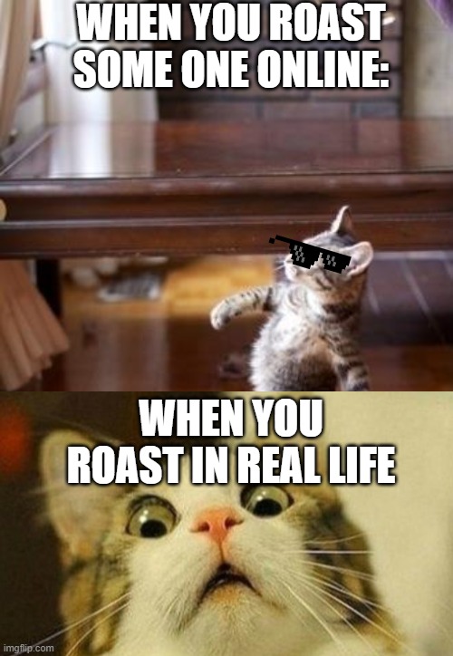 trueee | WHEN YOU ROAST SOME ONE ONLINE:; WHEN YOU ROAST IN REAL LIFE | image tagged in memes | made w/ Imgflip meme maker