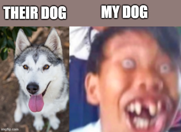 Dog | MY DOG; THEIR DOG | image tagged in dog | made w/ Imgflip meme maker