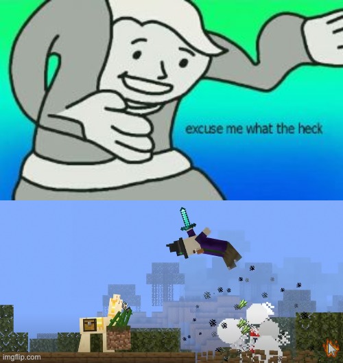 what- | image tagged in excuse me what the heck,minecraft | made w/ Imgflip meme maker