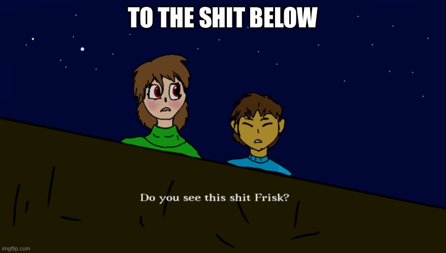 Do you see this shit Frisk? | TO THE SHIT BELOW | image tagged in do you see this shit frisk | made w/ Imgflip meme maker