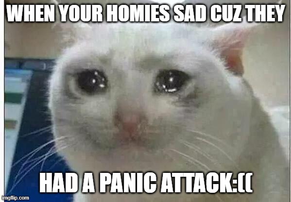 poor lil guy | WHEN YOUR HOMIES SAD CUZ THEY; HAD A PANIC ATTACK:(( | image tagged in crying cat | made w/ Imgflip meme maker