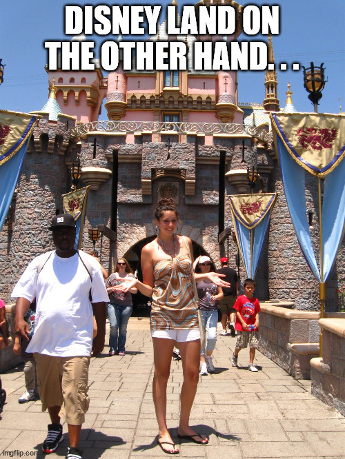 Disney land | DISNEY LAND ON THE OTHER HAND. . . | image tagged in disney land | made w/ Imgflip meme maker