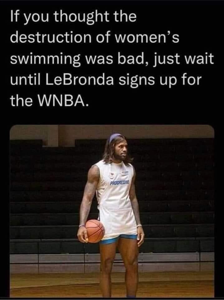 I can hardly wait until LeBronda signs up for the WNBA. | image tagged in lebron james,lebronda james,planet of the apes,bigfoot,sasquatch | made w/ Imgflip meme maker