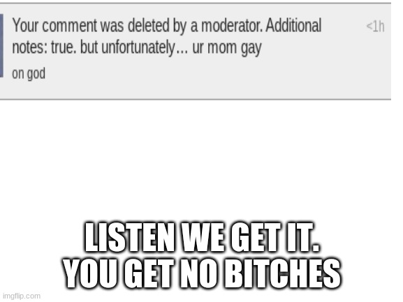 mods if you delete this (/or add onto this) Ur finna get RATIO'ed. | LISTEN WE GET IT.
YOU GET NO BITCHES | image tagged in blank white template | made w/ Imgflip meme maker