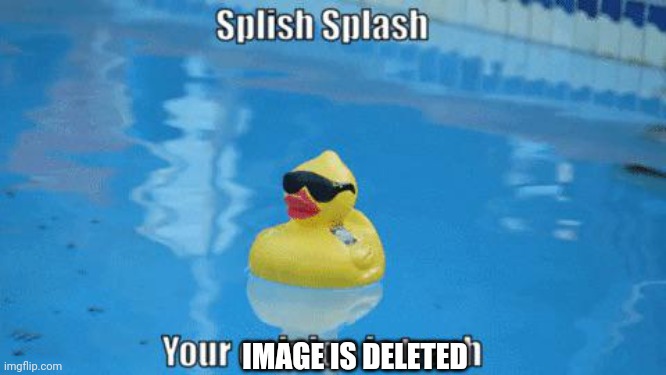 Splish Splash your opinion is trash | IMAGE IS DELETED | image tagged in splish splash your opinion is trash | made w/ Imgflip meme maker