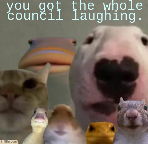 you retarded. | image tagged in you retarded | made w/ Imgflip meme maker