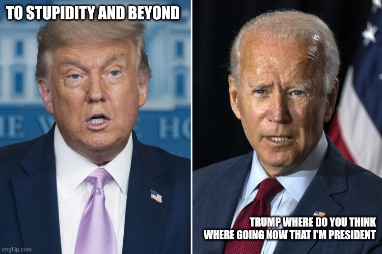 Trump roasting biden | TO STUPIDITY AND BEYOND; TRUMP WHERE DO YOU THINK WHERE GOING NOW THAT I'M PRESIDENT | image tagged in trump and biden | made w/ Imgflip meme maker